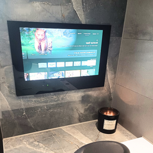 Bathroom TV